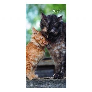 Cats Kittens 2022 Pocket Diary