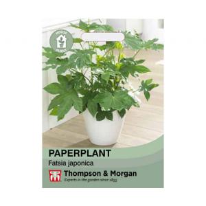 Thompson & Morgan Paperplant False Castor Oil House Plant Seeds