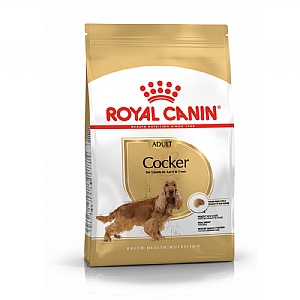 Royal Canin Breed Health Nutrition Cocker Dry Dog Food - Adult (3kg)