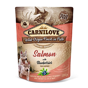 Carnilove Salmon with Blueberries Pouch Wet Dog Food - Puppy (300g)