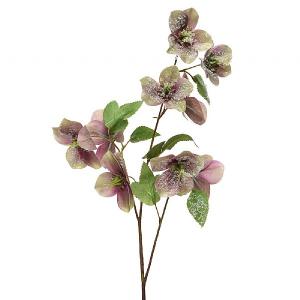 Decoris Helleborus with Snow Floral Stem