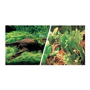 Marina 30cm (12") Aquascapd & Freshwater Aquarium Background