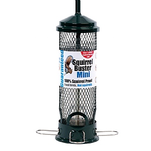 Jacobi Jayne Squirrel Buster® Mini