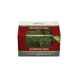 My Village Dark Green Reindeer Moss 50g