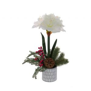 Amaryllis in Geometric Pot 53cm