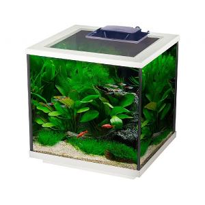 Interpet Aqua Cube 28 Litre Aquarium