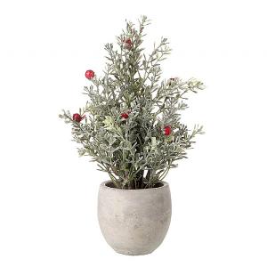 Potted Pine with Red Berries 25cm