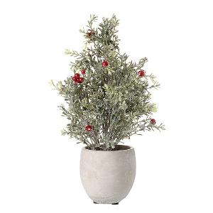 Potted Pine Red Berries 30cm