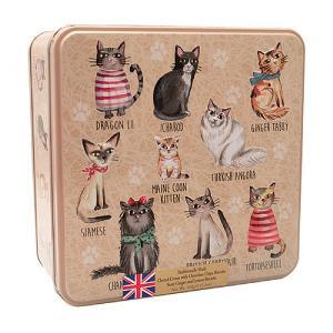 Grandma Wild's Square Cats Jumpers Biscuit Tin 160g
