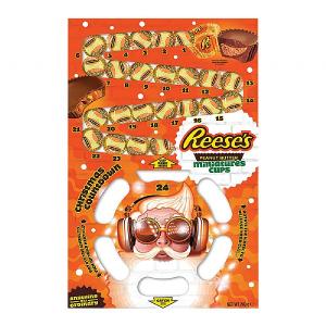Reese's Peanut Butter Miniature Cups Advent Calendar 249g