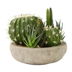 Faux Cactus Garden Bowl