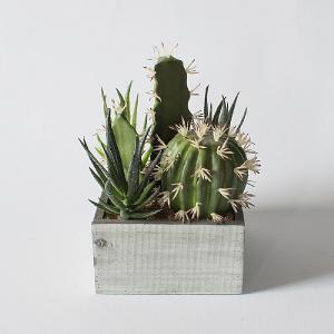 Faux Cactus Garden Crate