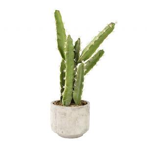 Faux Cactus Large