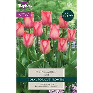 Tulip 'Pink Sound' (9 Bulbs)