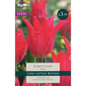Tulip Pretty Love (8 Bulbs)