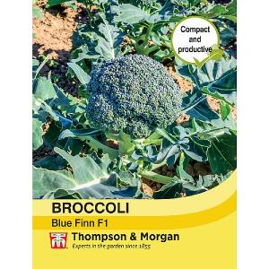 Thompson & Morgan Broccoli Blue Finn F1