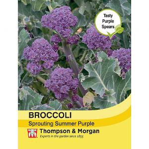 Thompson & Morgan Broccoli Sprouting Summer Purple