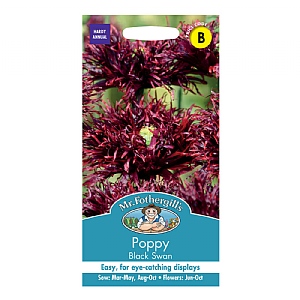 Mr Fothergills Uk/fl/fo-poppy Black Swan Seeds