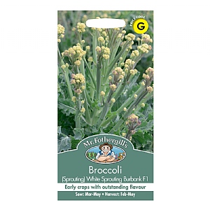Mr Fothergills Broccoli (Sprouting) White Burbank  Seeds