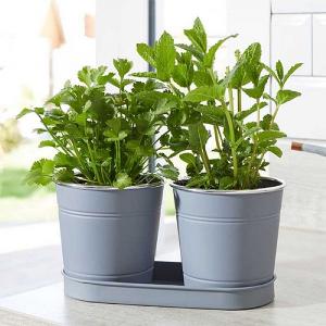 Smart Garden 1 Litre Herb Pots - Slate (Pack of 2)