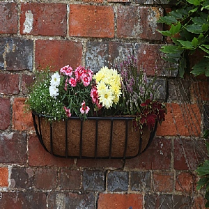 Smart Garden 48" Forge Wall Trough