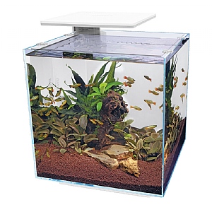 Superfish Qubiq Aquarium 60 Pro White