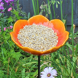 Wildlife World Red Wild Poppy Bird Feeder