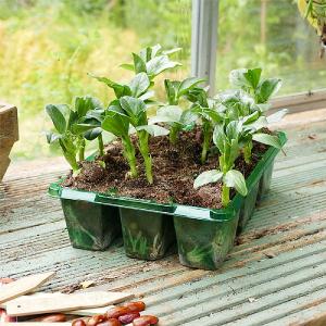 GroSure Visiroot 9 Cell Seed Trays - Pack of 8