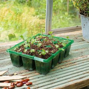 GroSure Visiroot 12 Cell Seed Trays - Pack of 8