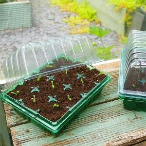 GroSure Visiroot twin Propagator Set