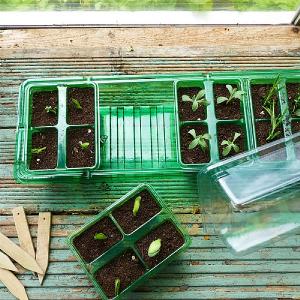 GroSure Visiroot Window Propagator Set