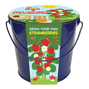 Kids Grow Your Own Strawberries