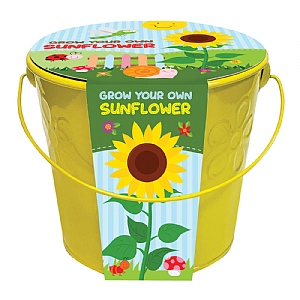 Kids Grow Your Own Sunflower