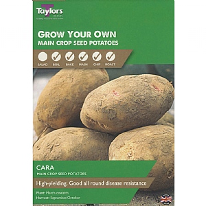 Cara Main Crop Seed Potatoes (Bag of 10)