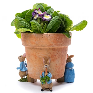 Jardinopia Beatrix Potter Peter Rabbit Plant Pot Feet - Set Of 3