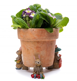 Jardinopia Beatrix Potter Benjamin Bunny Plant Pot Feet - Set Of 3