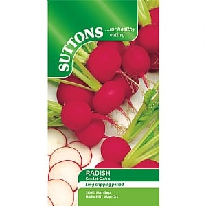 Suttons Radish Scarlet Globe Seeds