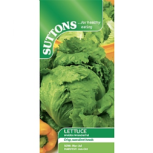 Suttons Lettuce Webbs Wonderful Seeds