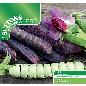 Suttons Pea Blauwschokker Seeds