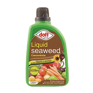 Doff Liquid Seaweed Concentrate 1L