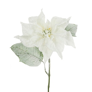 Snowstorm Poinsettia 70cm