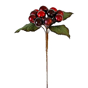 Classic Berry Pick X 12 11cm