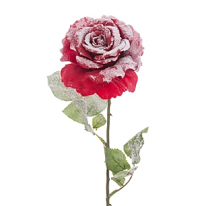 Snowy Red Rose Stem 67cm