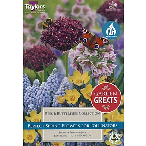 Bees & Butterflies Collection