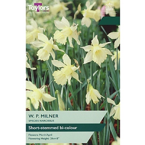 Narcissus W.P. Milner