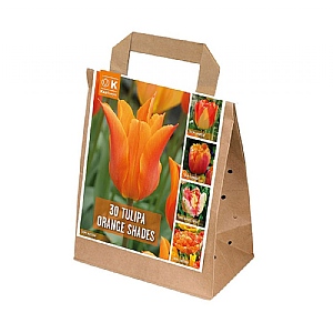 Tulip Orange Shades Collection (30 Bulbs)