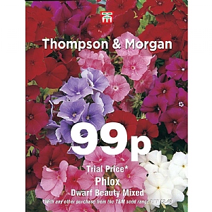 Thompson & Morgan Phlox Dwarf Beauty Mixed Seeds