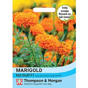 Thompson & Morgan African Marigold Tagetes erecta Hot Stuff F1 Seeds