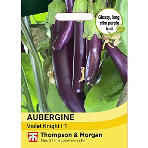 Thompson & Morgan Aubergine Purple Knight F1 Seeds