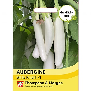 Thompson & Morgan Aubergine White knight F1 Seeds